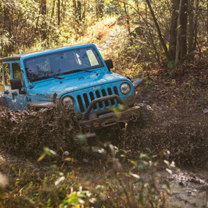 Back of a black Jeep® going off-road into the woods.
